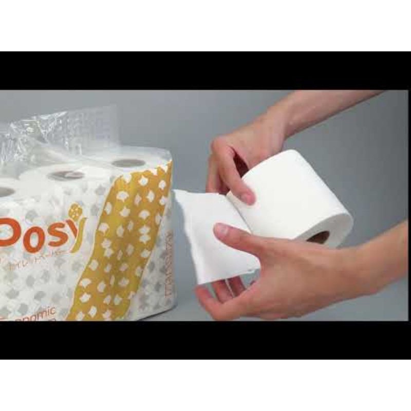 LỐC 12 CUỘN GIẤY VỆ SINH 2 LỚP POSY ECONOMIC CÓ LÕI