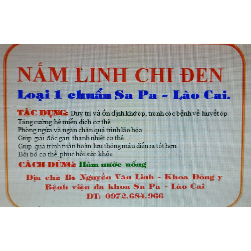 Nấm Linh Chi đen chuẩn rừng Sa Pa Lào Cai túi 0.5-1kg