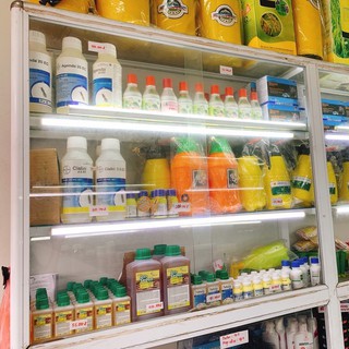 thuốc muỗi nhúng màn