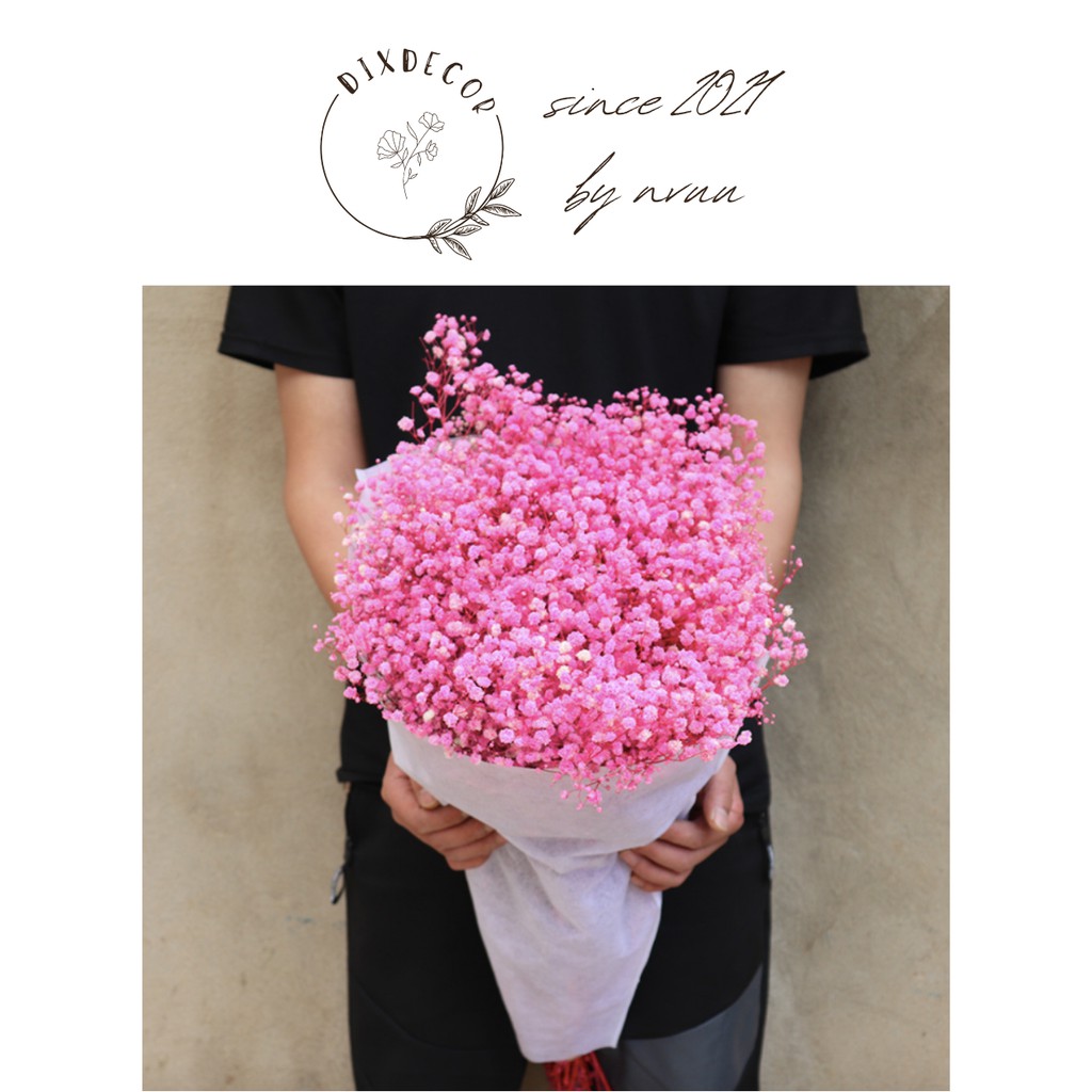 Hoa Baby Khô Trang Trí - Gypsophila Hồng Nhạt Bó 10Gr