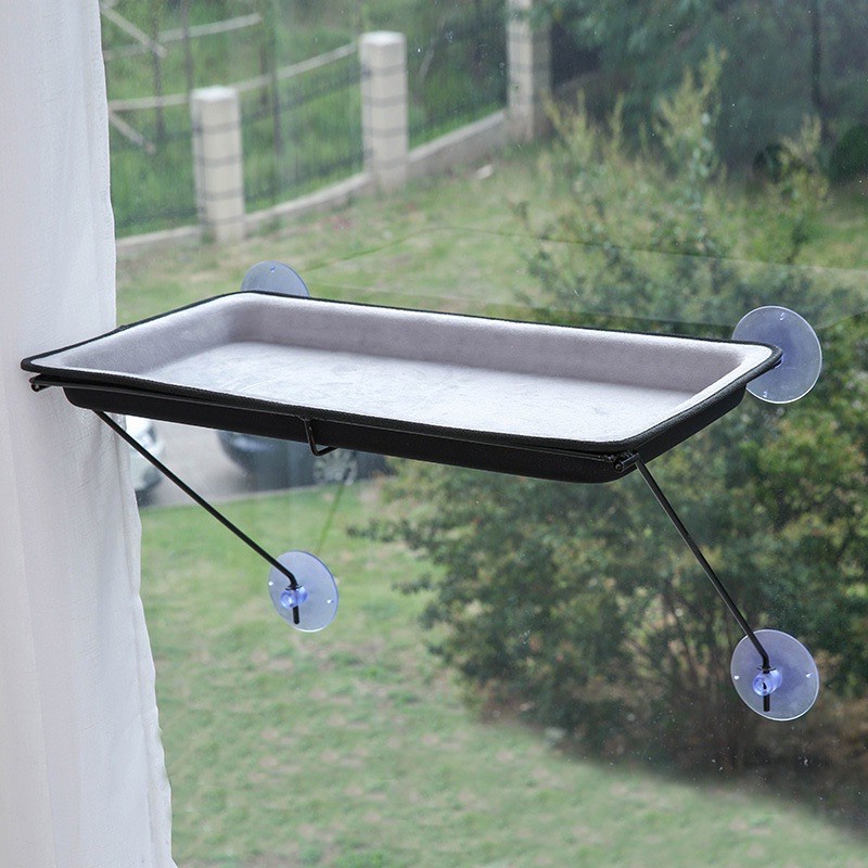 Đồ chơi hích kính cho Mèo