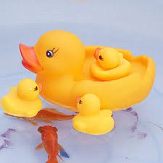 Đàn Vịt Thả Bể Bơi Có Còi