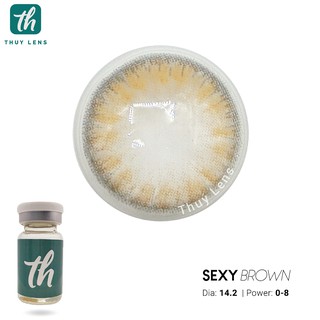 Kính áp tròng THUY LENS Brown cận màu nâu giãn nhẹ và giãn to