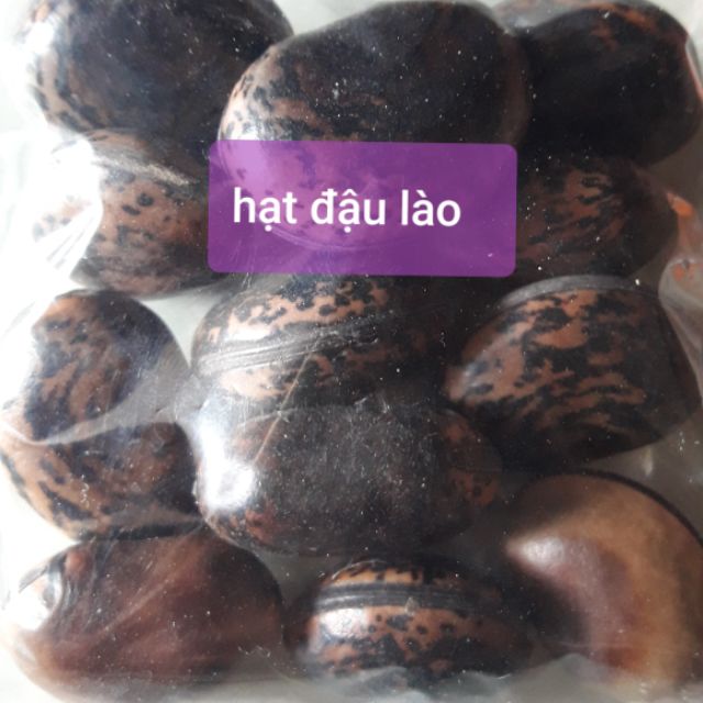 Hạt đậu lào ( hạt rắn cắn)10k/1hat mua 10 hạt tặng 3 hạt