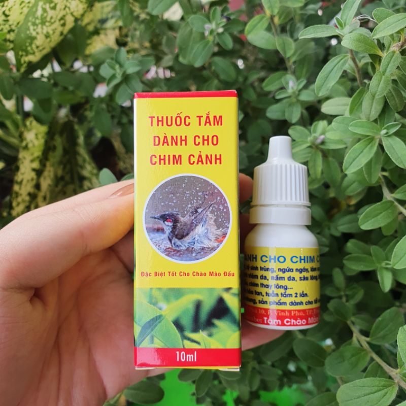 Nước tắm chim cảnh TÂM CHÀO MÀO