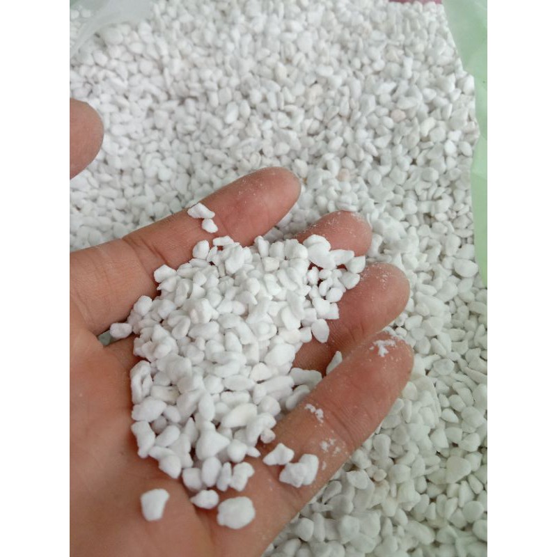 [TRANG TRÍ ] 100GR ĐÁ PERLITE ĐÁ TRỒNG SEN BONUS MỘT BÀN TAY ẤM ÁP CỦA CHỦ SHOP CHO AI ĐÓ CẦN 😌