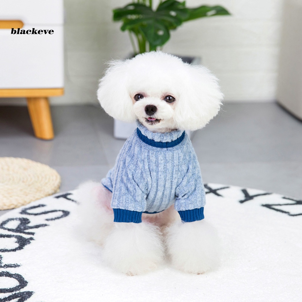 Áo len đan dễ thương dành cho thú cưng