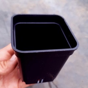 CHẬU NHỰA ĐEN TRỒNG CÂY 7x7cm SIÊU BỀN LỖI 1 ĐỔI 1