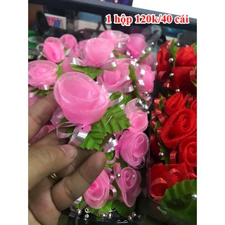 hoa cài áo hai họ