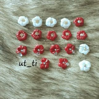 hoa đậu cánh gân -nail