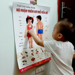 Bộ tranh treo tường cho bé