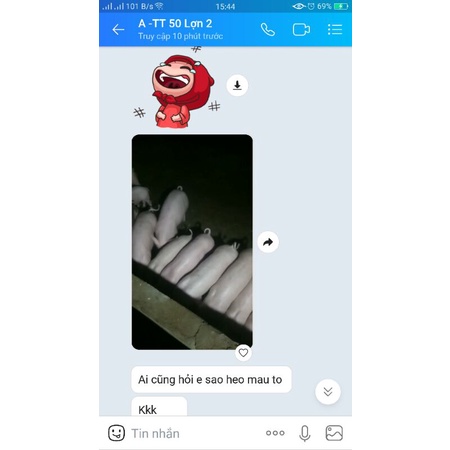 Tăng trọng nhanh cho lợn, heo, bò,gia cầm 1kg