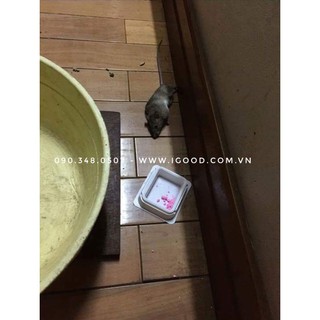 Thuốc Diệt Chuột Dethmor Nhật Bản Hộp 4 Khay