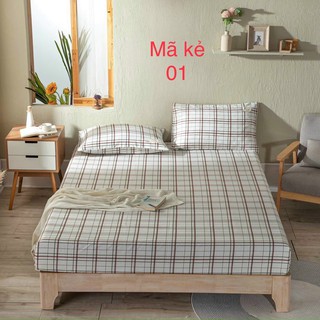 Bộ GA+2 VỎ GỐI CAO CẤP