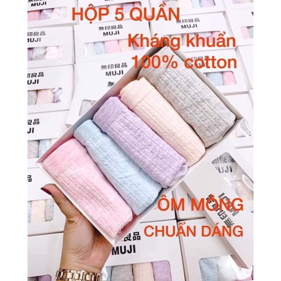Hộp 5 quần lót cotton dệt kim xuất nhật