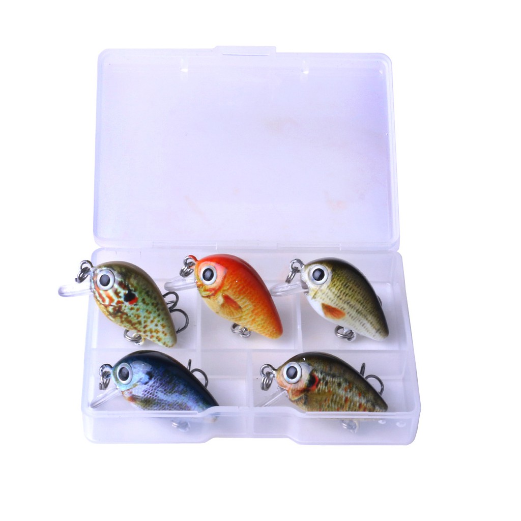 Bộ 5 con mồi ruồi Thái Lan siêu đẹp-siêu nhạy cá-Chuyên Đồ Câu Lure Mồi chuyên bắt cá rô phi, rô ta, chuối, lóc, sộp,..