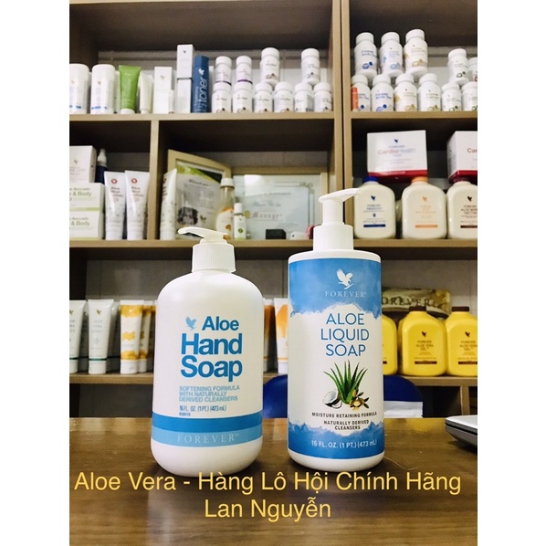 Sửa rửa mặt và tay_lô hội_hoa kì