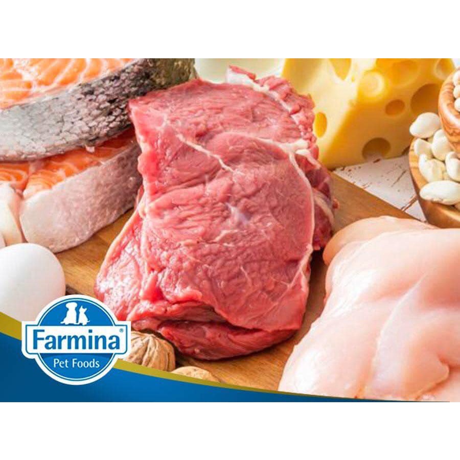 Farmina N&D PRIME KITTEN- THỊT GÀ & LỰU CHO MÈO CON, ĐANG MANG THAI HOẶC CHO CON BÚ