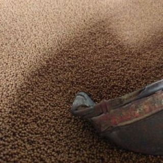 Cám cá koi cá cảnh new 2kg