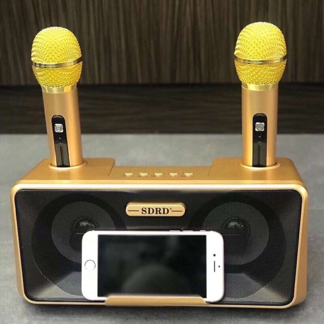 LOA KARAOKE SD-301 ( tặng kèm 2 Micro ko dây )