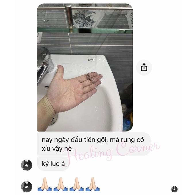 Dầu gội 100% thảo mộc Bồ Kết cô đặc - Organic shampoo - Healing Corner