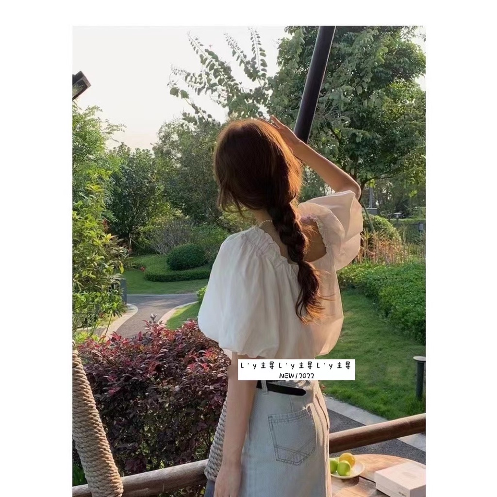Áo dolltop cổ u