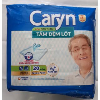 Tấm điệm lót Caryn 20 miếng 42cm × 72cm