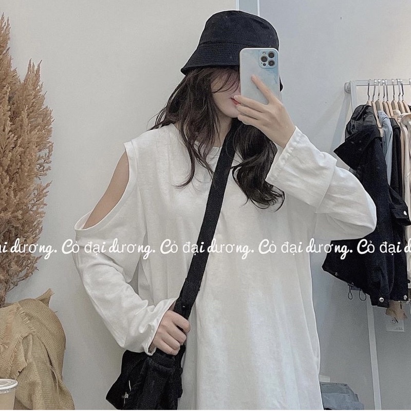 Áo Thun Cotton Dáng Rộng Dài Tay Nữ Khoét Vai Cổ Tròn Dành Cho Nữ - Ảnh Thật