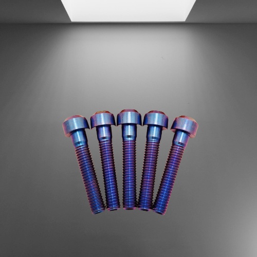 Ốc titan gr5 6 li trụ Titan Gr5, ốc 6li10,15,20,25,30,35,40,50,60,65,70,80,90,100 đầu trụ