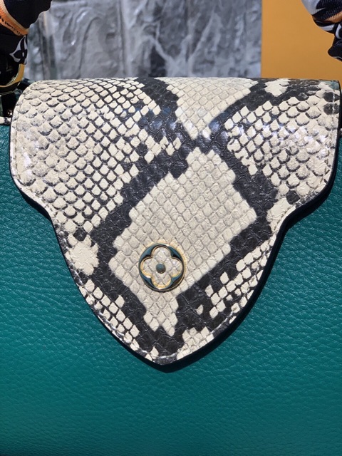 Túi Louisvuitton capuchino