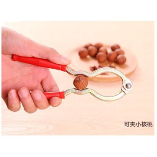 KÌM KẸP TÁCH QUẢ ÓC CHÓ