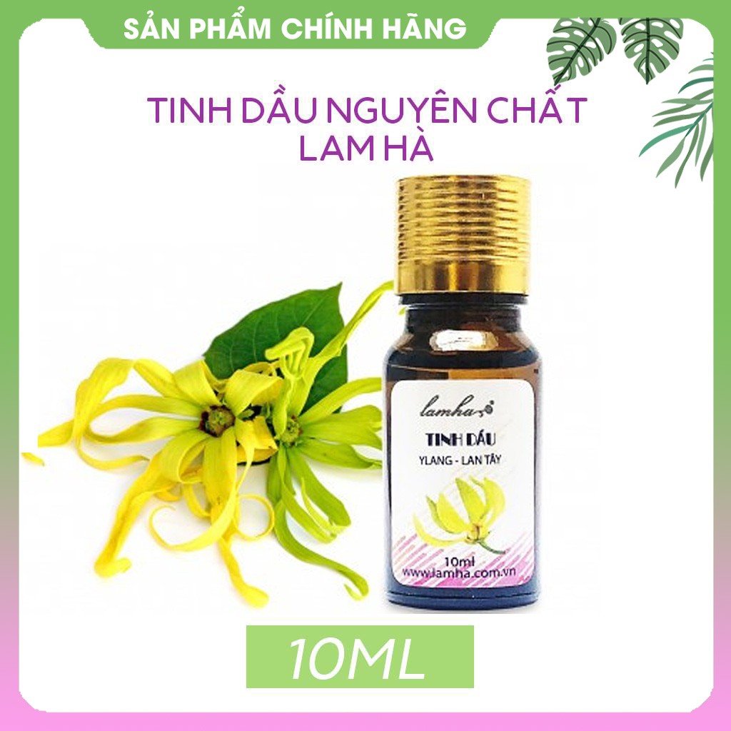 Tinh dầu lan tây Lam Hà hương thơm quyến rũ. Tinh dầu thiên nhiên xông phòng ngủ, thư giãn Tinh Dầu 100 Shop