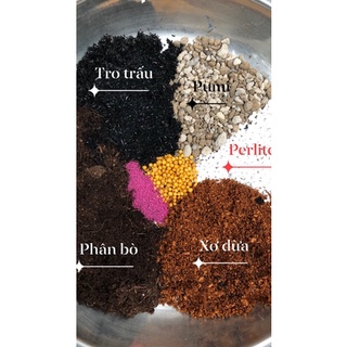 Đất trồng sen đá 1kg