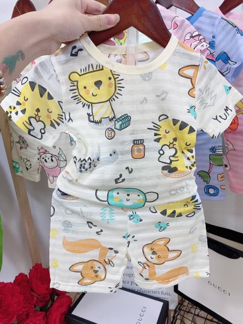 Bộ cotton giấy tre