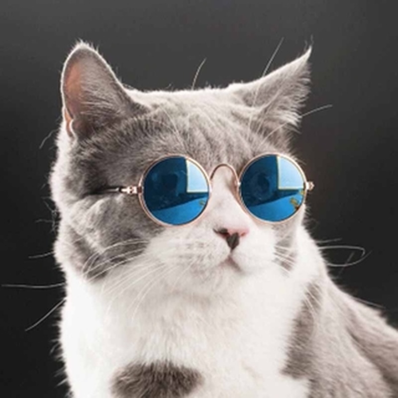 Cat Sunglasses Sunglasses Dog Teddy Personality Funny Headdress Pet Accessories Cat Glasses