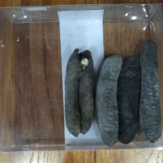 1 CON HẢI SÂM