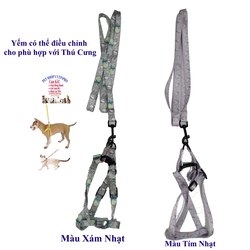 Dây dắt kèm yếm cho Chó Mèo Dưới 5kg Bản rộng 1cm In họa tiết hoạt hình Chất liệu dù Chắc chắn, Yếm có thể điều chỉnh