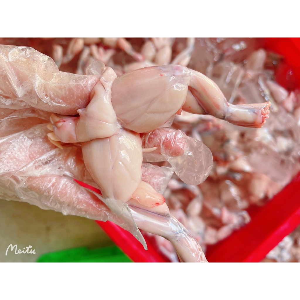 Đùi ếch Xuất Khẩu vỉ 0,5kg - Thực phẩm sạch cấp đông loại 1