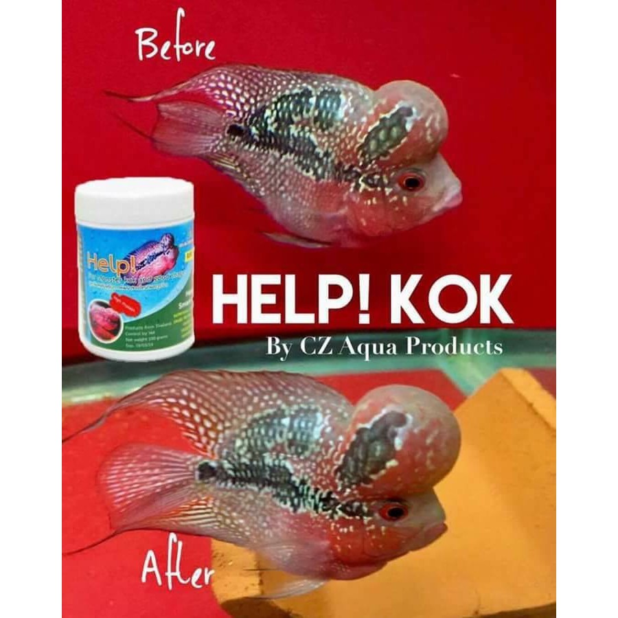 Thức ăn lên đầu cho cá la hán - Cz1 Help Kok
