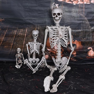 Mô hình bộ xương người 90cm bằng nhựa trang trí Halloween