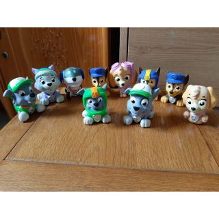 Set 10 chú chó cứu hộ
