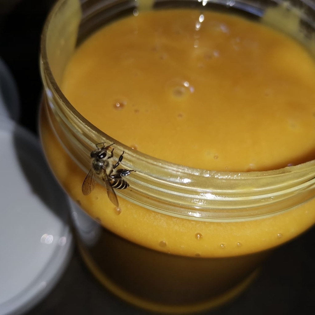 đường thốt nốt nguyên chất không hóa chất an giang (được bảo quản bằng gỗ sến)