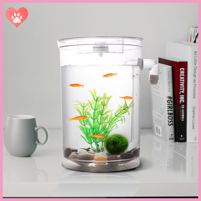Ecological Fish  Bowl Slacker Desktop Case Self-cleaning Aquarium Mini Fish