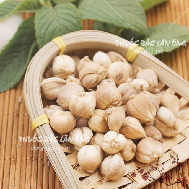 Bạch Đậu Khấu 1kg