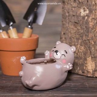 Chậu gấu (nhựa cứng) - Vườn sen đá