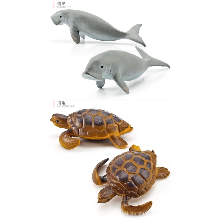 Set 12 mô hình động vật biển đồ chơi cho bé