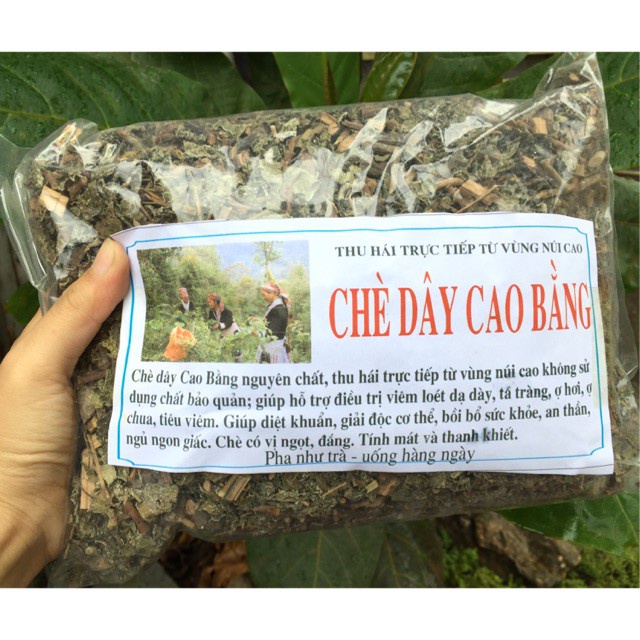 Chè Dây Cao Bằng hỗ trợ viêm loét dạ dày