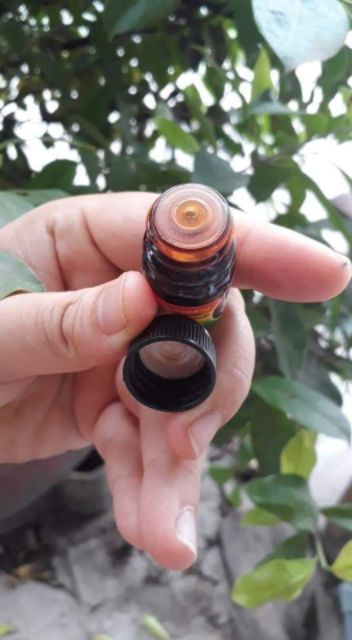 Dầu hít Thái Lan hiệu Bà mập chai 5ml