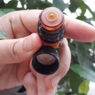 Combo 8 chai dầu hít xoang Thái Lan hiệu dầu Bà mập