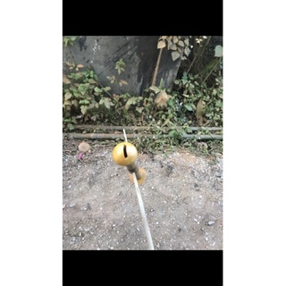sáo diều D13